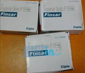 핀카 600정 photo review