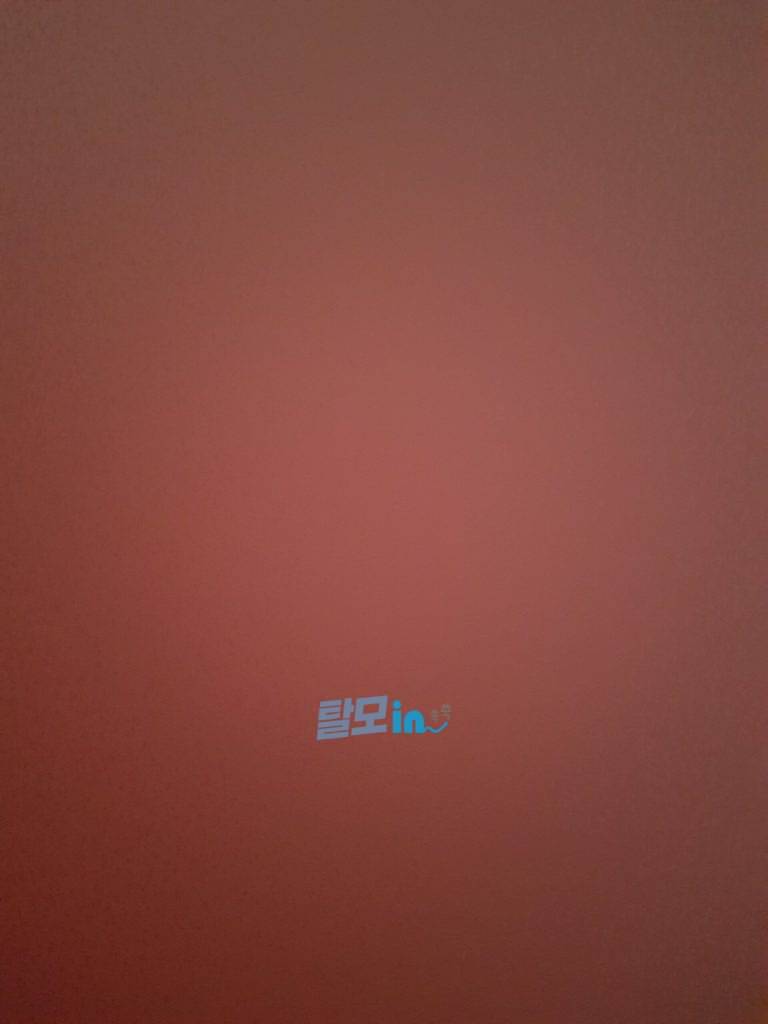 핀페시아 300정 photo review