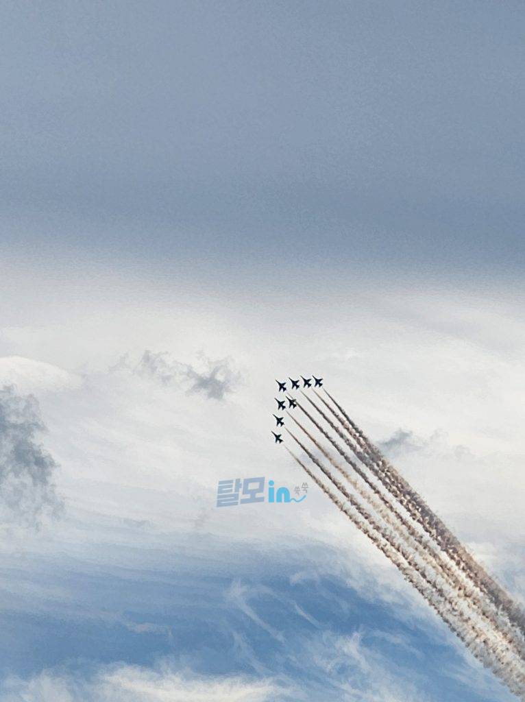 핀페시아 300정 photo review